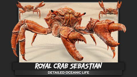 Royal Crab - King Sebastian - Low Poly Realistic 3D Model - Rigged Animated Monster  - Rock Land Creature - #18