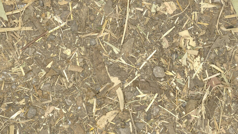 Ground Seamless Texture 2k (2048*2048) | EXR 5 | JPG 5 File Formats All Texture Apply After Object Look Like A 3D. (1K preview image)