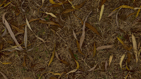 Ground Seamless Texture 2k (2048*2048) | EXR 5 | JPG 5 File Formats All Texture Apply After Object Look Like A 3D. (1K preview image)