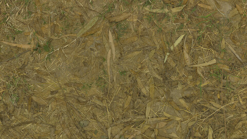 Ground Seamless Texture 2k (2048*2048) | EXR 5 | JPG 5 File Formats All Texture Apply After Object Look Like A 3D. (1K preview image)