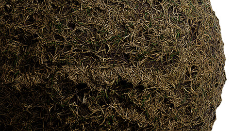 Ground Seamless Texture Patterns 2k (2048*2048) | EXR 5 | JPG 5 File Formats. (1K preview image)