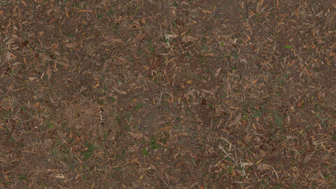 Ground Seamless Texture 2k (2048*2048) | EXR 5 | JPG 5 File Formats All Texture Apply After Object Look Like A 3D. (1K preview image)