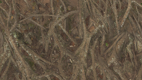 Ground Seamless Texture 2k (2048*2048) | EXR 5 | JPG 5 File Formats All Texture Apply After Object Look Like A 3D. (1K preview image)