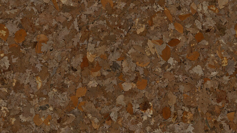 Ground Seamless Texture 2k (2048*2048) | EXR 5 | JPG 5 File Formats All Texture Apply After Object Look Like A 3D. (1K preview image)