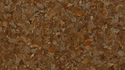 Ground Seamless Texture 2k (2048*2048) | EXR 5 | JPG 5 File Formats All Texture Apply After Object Look Like A 3D. (1K preview image)