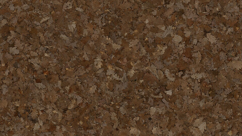 Ground Seamless Texture 2k (2048*2048) | EXR 5 | JPG 5 File Formats All Texture Apply After Object Look Like A 3D. (1K preview image)