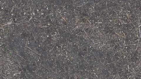 Ground Seamless Texture 2k (2048*2048) | EXR 5 | JPG 5 File Formats All Texture Apply After Object Look Like A 3D. (1K preview image)