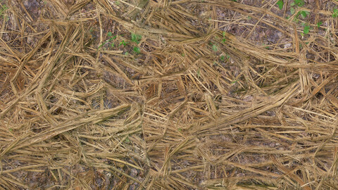 Ground Seamless Texture 2k (2048*2048) | EXR 5 | JPG 5 File Formats All Texture Apply After Object Look Like A 3D. (1K preview image)