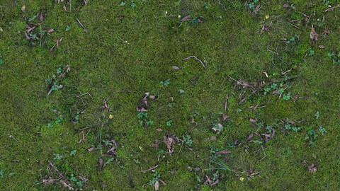 Ground Seamless Texture 2k (2048*2048) | EXR 5 | JPG 5 File Formats All Texture Apply After Object Look Like A 3D. (1K preview image)