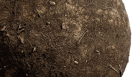 Ground Seamless Texture Patterns 2k (2048*2048) | EXR 5 | JPG 5 File Formats. (1K preview image)