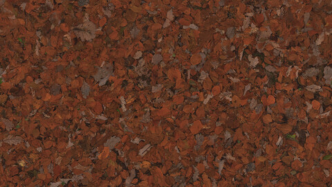 Ground Seamless Texture 2k (2048*2048) | EXR 5 | JPG 5 File Formats All Texture Apply After Object Look Like A 3D. (1K preview image)