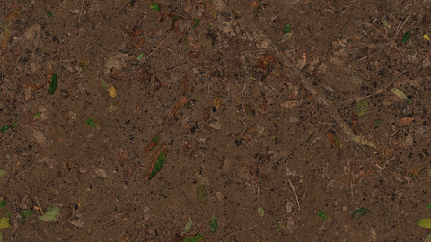 Ground Seamless Texture 2k (2048*2048) | EXR 5 | JPG 5 File Formats All Texture Apply After Object Look Like A 3D. (1K preview image)