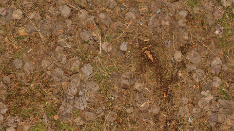 Ground Seamless Texture 2k (2048*2048) | EXR 5 | JPG 5 File Formats All Texture Apply After Object Look Like A 3D. (1K preview image)