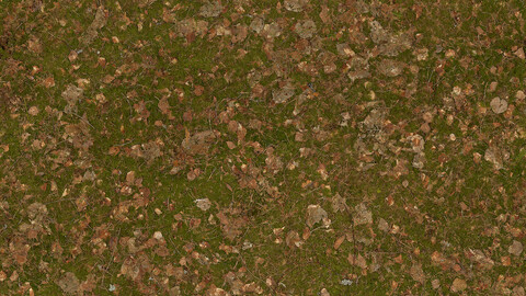 Ground Seamless Texture 2k (2048*2048) | EXR 5 | JPG 5 File Formats All Texture Apply After Object Look Like A 3D. (1K preview image)