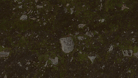 Ground Seamless Texture 2k (2048*2048) | EXR 5 | JPG 5 File Formats All Texture Apply After Object Look Like A 3D. (1K preview image)