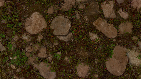 Ground Seamless Texture 2k (2048*2048) | EXR 5 | JPG 5 File Formats All Texture Apply After Object Look Like A 3D. (1K preview image)