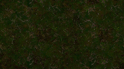 Ground Seamless Texture 2k (2048*2048) | EXR 5 | JPG 5 File Formats All Texture Apply After Object Look Like A 3D. (1K preview image)