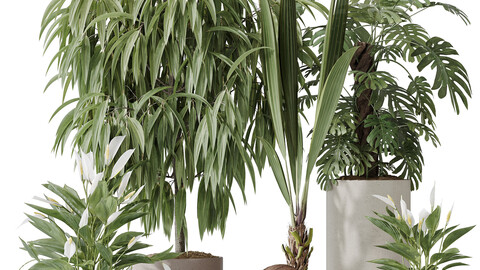 Indoor plant set 53