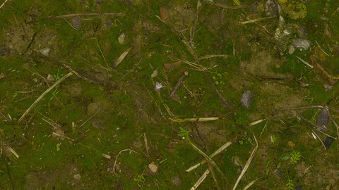 Ground Seamless Texture 2k (2048*2048) | EXR 5 | JPG 5 File Formats All Texture Apply After Object Look Like A 3D. (1K preview image)