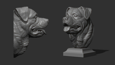 Rottweiler gloomy bust