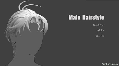 Male Hairstyle-Low poly (blend,fbx,obj files)