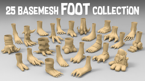 25 Basemesh foot collection