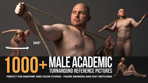 1000+ Male Academic Turnaround Reference Pictures