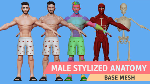 Male Stylized Anatomy Base mesh