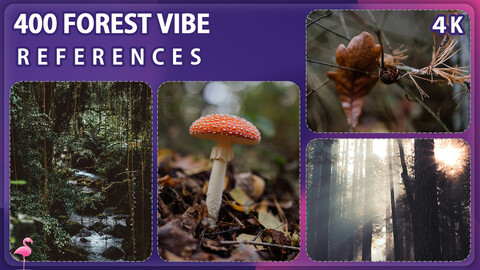 400 Forest Vibe Image Reference Pack – Vol 1