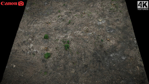 forrest ground wood branches photogrammetry