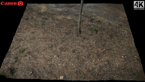 forest burned ground tree debris photogrammetry