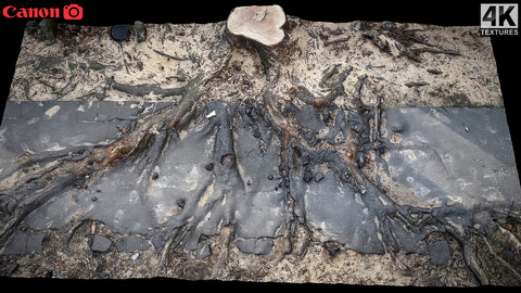 tree roots road asphalt debris part3 photogrammetry