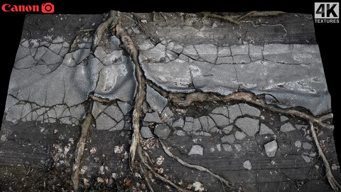 tree roots road asphalt debris part4 photogrammetry