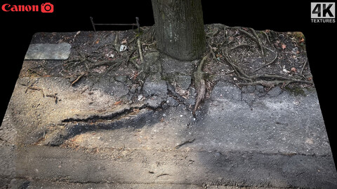 tree roots road asphalt debris part5 photogrammetry