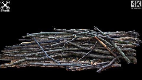 wood branches forrest side part photogrammetry