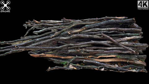 wood branches forrest side part3 photogrammetry