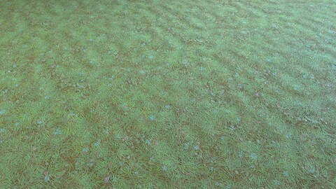 Stylized Grass 01