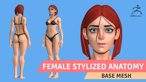 Female Stylized Anatomy Base mesh