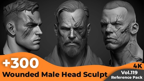 +300 Wounded Male Head Sculpt References(4k)