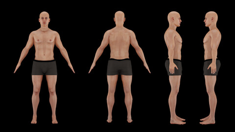 Human Body 3D Model - Realistic Human Body Anatomy