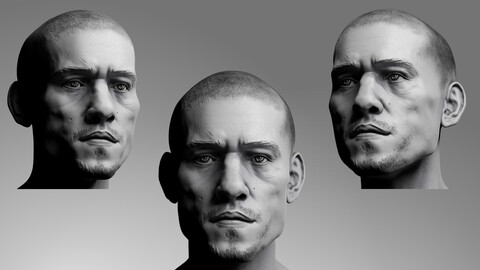 Portrait Sculpt Render Scene in Blender + FBX, Blend, ZTL files of the Model