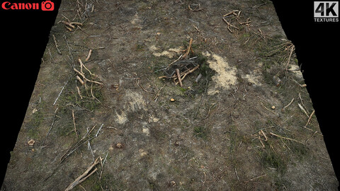 forrest ground cutted tree branches part3 photogrammetry