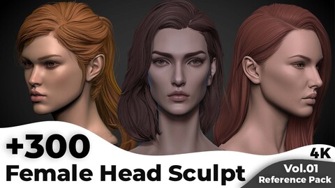 +300 Female Head Sculpt References(4k)