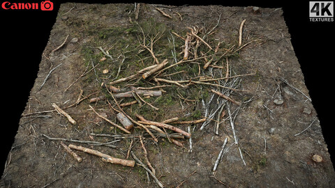 forrest ground broken tree branches photogrammetry