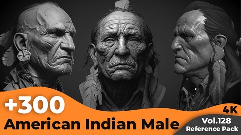 +300 American Indian Male Head Sculpt References(4k)