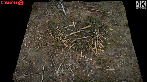 forrest ground wood debris branches photogrammetry