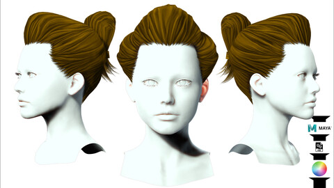 Female Bun Hair Style Low-poly