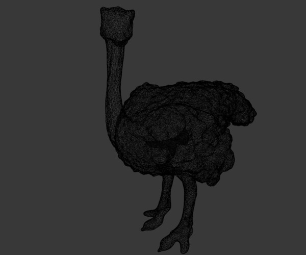 ArtStation - Ostrich 3D model | Game Assets