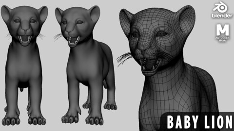 Baby Lion - Topology + UV Map