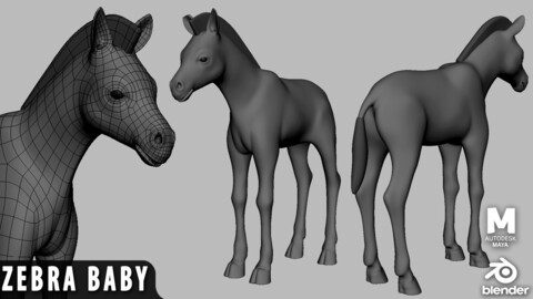 Baby Zebra - Topology + UV Map